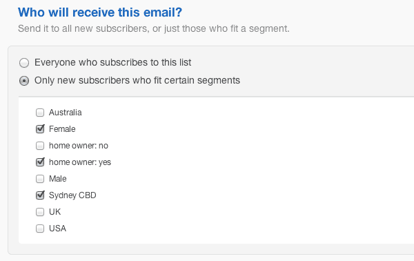 email-automation-work-flow-segments email-automation-work-flow-segments